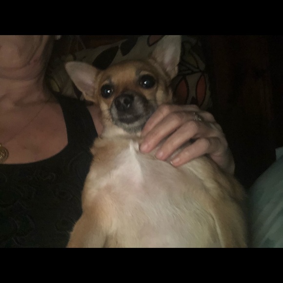 Meet your Posher, Allyson - Picture 1 of 1